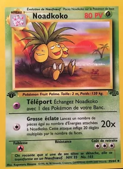 Noadkoko 35/64 Jungle
