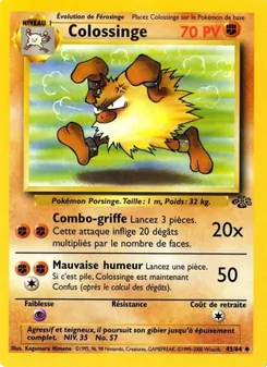 Colossinge 43/64 Jungle