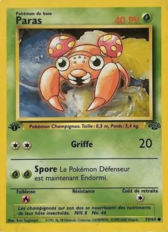 Paras 59/64 Jungle