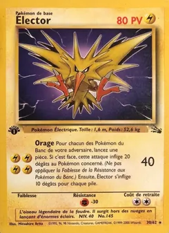 Élector 30/62 Fossile