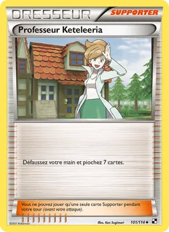 Professeur Keteleeria 101/114 Noir & Blanc