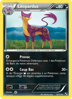 Léopardus 67/114 Noir & Blanc