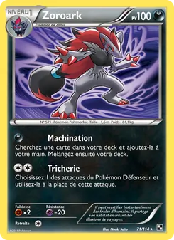 Zoroark 71/114 Noir & Blanc