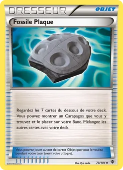 Fossile Plaque 79/101 Explosion Plasma