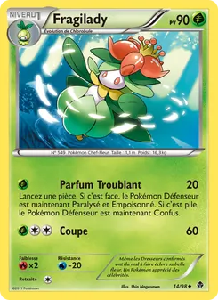 Fragilady 14/98 Pouvoirs Émergents