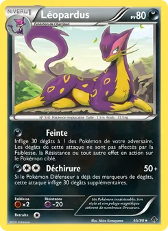 Léopardus 65/98 Pouvoirs Émergents