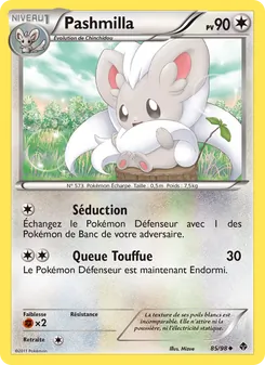Pashmilla 85/98 Pouvoirs Émergents