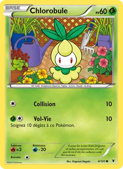 Chlorobule 4/101 Nobles Victoires