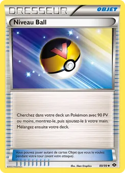 Niveau Ball 89/99 Destinées Futures