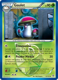 Gaulet 13/135 Tempète Plasma