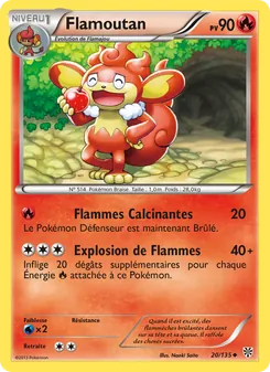 Flamoutan 20/135 Tempète Plasma
