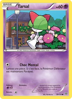 Tarsal 59/135 Tempète Plasma