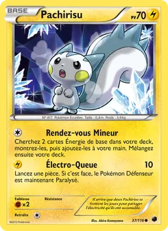 Pachirisu 37/116 Glaciation Plasma