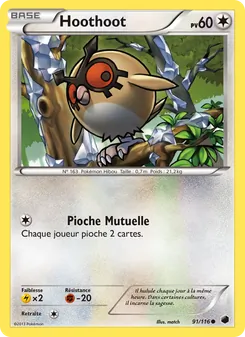 Hoothoot 91/116 Glaciation Plasma