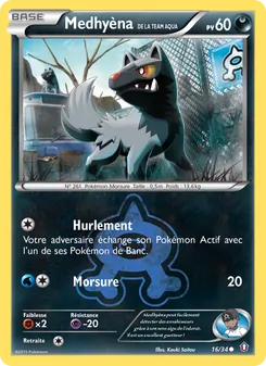 Medhyèna de la Team Aqua 16/34 Double Danger