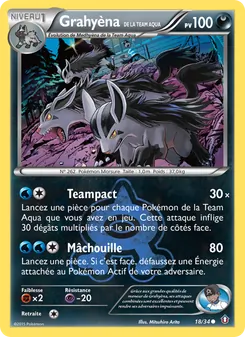 Grahyèna de la Team Aqua 18/34 Double Danger