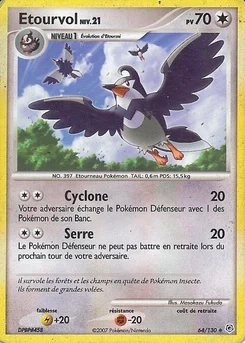 Etourvol 64/130 Diamant & Perle