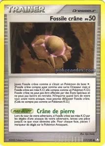 Fossile Crâne 117/123 Trésors Mystérieux