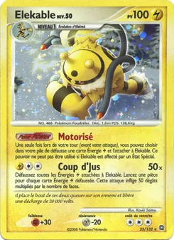 Élekable 25/132 Merveilles Secrètes
