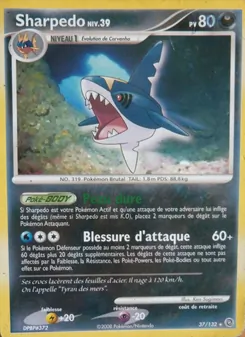 Sharpedo 37/132 Merveilles Secrètes