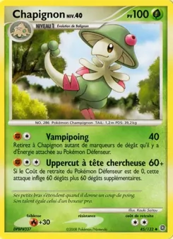 Chapignon 45/132 Merveilles Secrètes