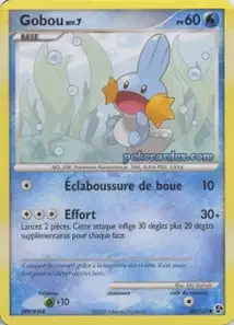 Gobou 80/106 Duels au Sommets