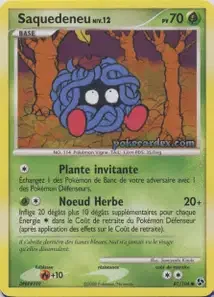 Saquedeneu 87/106 Duels au Sommets