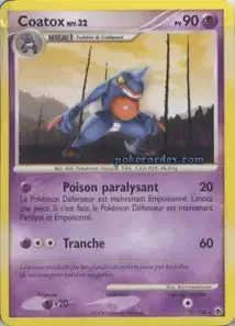 Coatox 31/100 Aube Majestueuse