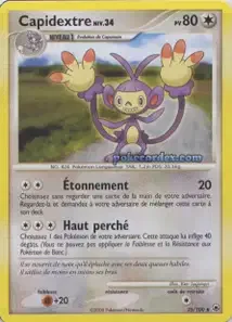 Capidextre 35/100 Aube Majestueuse