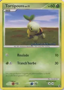 Tortipouss 77/100 Aube Majestueuse