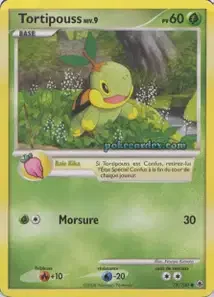 Tortipouss 78/100 Aube Majestueuse