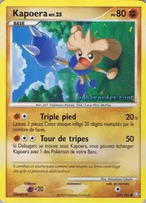 Kapoera 101/146 Éveil des Légendes