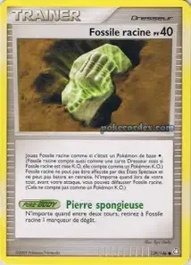 Fossile racine 139/146 Éveil des Légendes