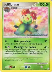 Joliflor 20/146 Éveil des Légendes