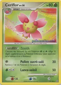Ceriflor 14/100 Tempête