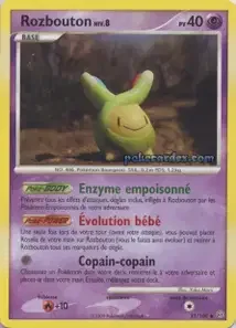Rozbouton 33/100 Tempête