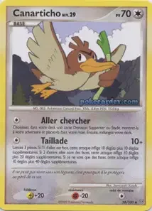 Canarticho 38/100 Tempête