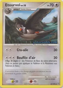 Etourvol 52/100 Tempête