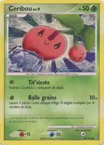 Ceribou 56/100 Tempête