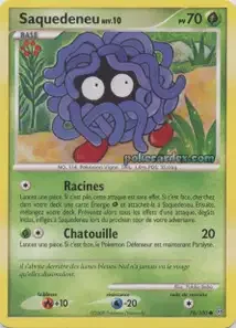Saquedeneu 78/100 Tempête