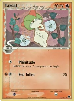 Tarsal δ 61/101 EX Île des Dragons