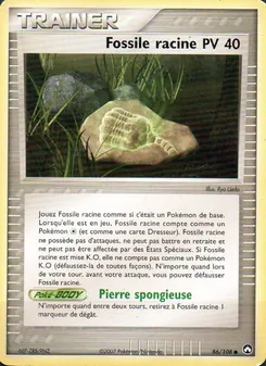Fossile racine 86/108 EX Gardiens du Pouvoir
