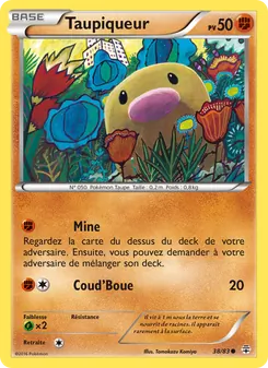 Taupiqueur 38/83 Générations