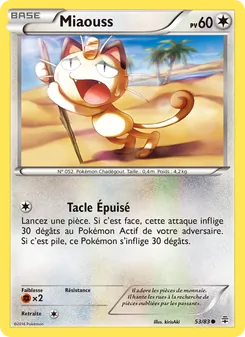 Miaouss 53/83 Générations