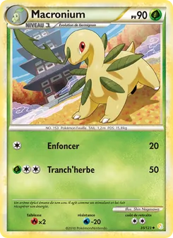 Macronium 35/123 HeartGold SoulSilver