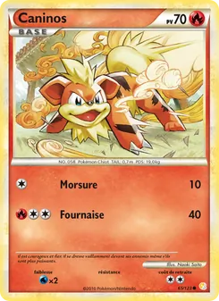 Caninos 65/123 HeartGold SoulSilver