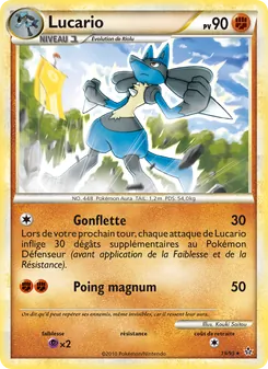 Lucario 19/95 Déchaînement