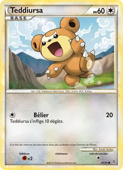 Teddiursa 65/95 Déchaînement