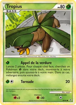 Tropius 66/95 Déchaînement