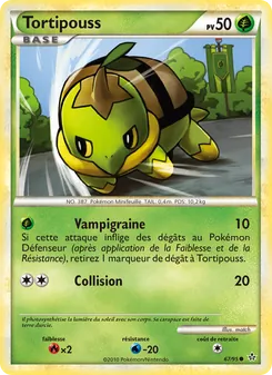 Tortipouss 67/95 Déchaînement